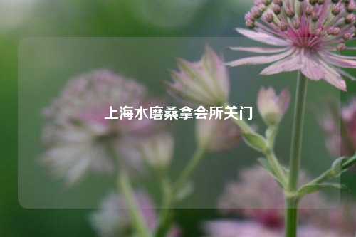 上海水磨桑拿会所关门